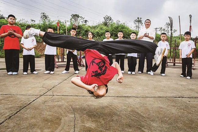 洪门生风---蔡甸省级非遗"杨氏洪门拳" - 保定市非物质文化遗产保护